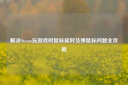 解决Steam玩游戏时鼠标延时及弹鼠标问题全攻略