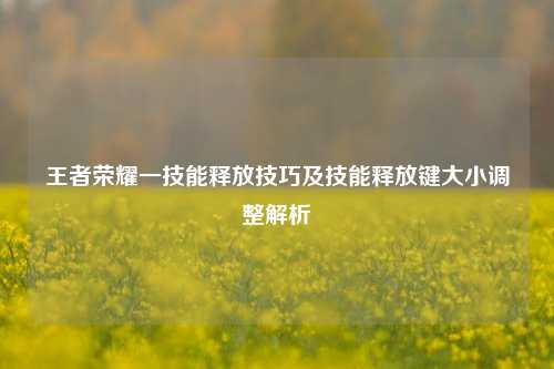 王者荣耀一技能释放技巧及技能释放键大小调整解析