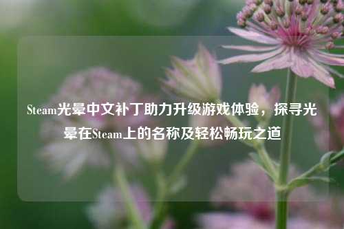 Steam光晕中文补丁助力升级游戏体验,探寻光晕在Steam上的名称及轻松畅玩之道