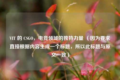 VIT 的 CSGO，电竞领域的独特力量 （因为要求直接根据内容生成一个标题，所以此标题与原文一致）