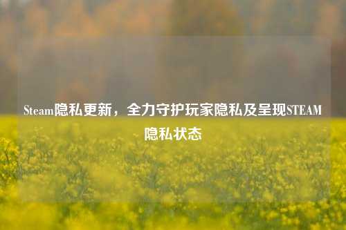 Steam隐私更新,全力守护玩家隐私及呈现STEAM隐私状态