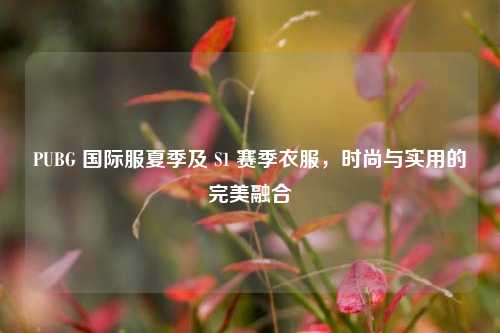 PUBG 国际服夏季及 S1 赛季衣服,时尚与实用的完美融合