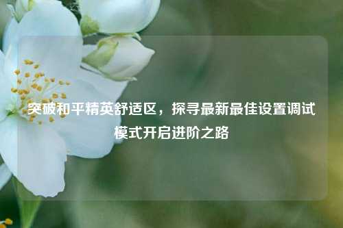 突破和平精英舒适区,探寻最新最佳设置调试模式开启进阶之路