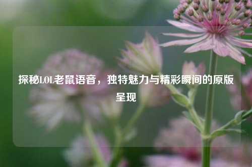 探秘LOL老鼠语音，独特魅力与精彩瞬间的原版呈现