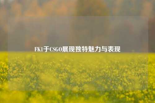 FK1于CSGO展现独特魅力与表现