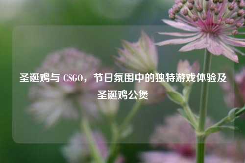 圣诞鸡与 CSGO，节日氛围中的独特游戏体验及圣诞鸡公煲