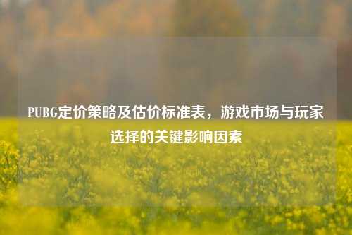 PUBG定价策略及估价标准表,游戏市场与玩家选择的关键影响因素