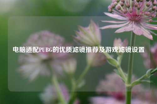 电脑适配PUBG的优质滤镜推荐及游戏滤镜设置