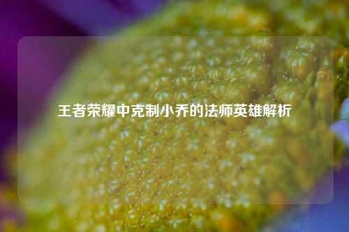 王者荣耀中克制小乔的法师英雄解析