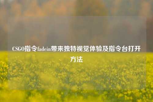 CSGO指令fadein带来独特视觉体验及指令台打开方法