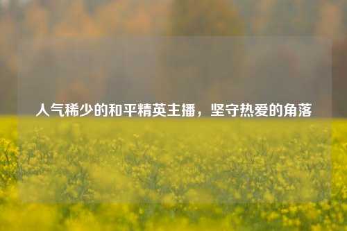 人气稀少的和平精英主播,坚守热爱的角落