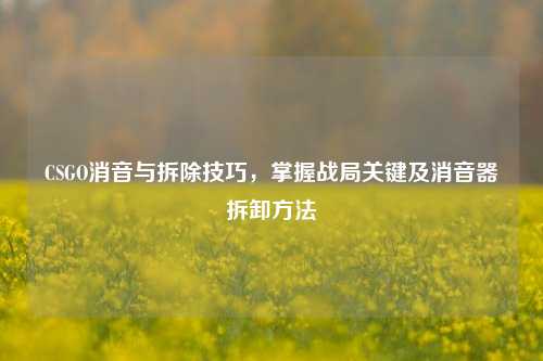 CSGO消音与拆除技巧,掌握战局关键及消音器拆卸方法