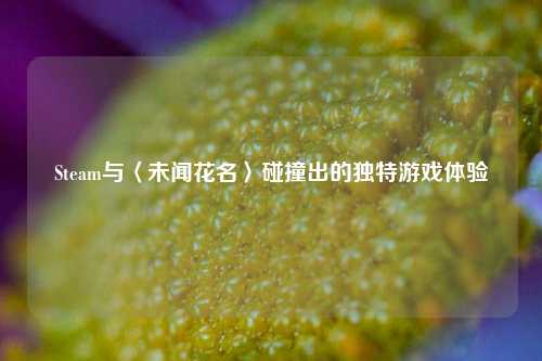 Steam与〈未闻花名〉碰撞出的独特游戏体验