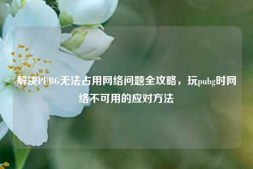 解决PUBG无法占用网络问题全攻略,玩pubg时网络不可用的应对方法