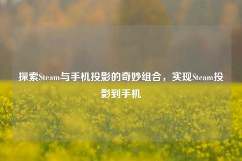 探索Steam与手机投影的奇妙组合，实现Steam投影到手机