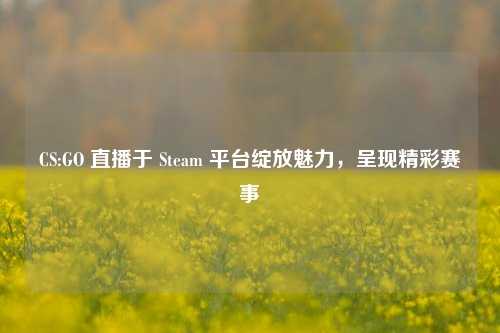 CS:GO 直播于 Steam 平台绽放魅力，呈现精彩赛事