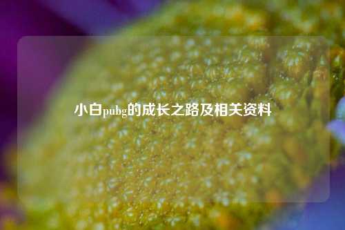 小白pubg的成长之路及相关资料