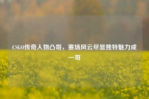 CSGO传奇人物凸哥,赛场风云尽显独特魅力成一哥