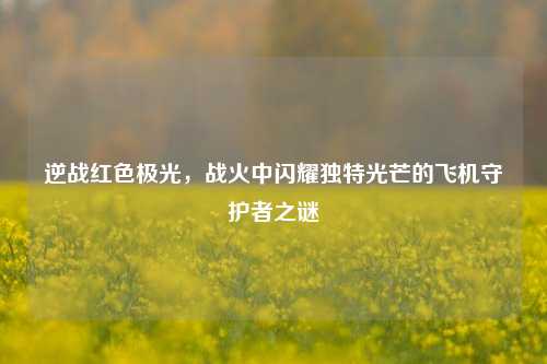 逆战红色极光,战火中闪耀独特光芒的飞机守护者之谜