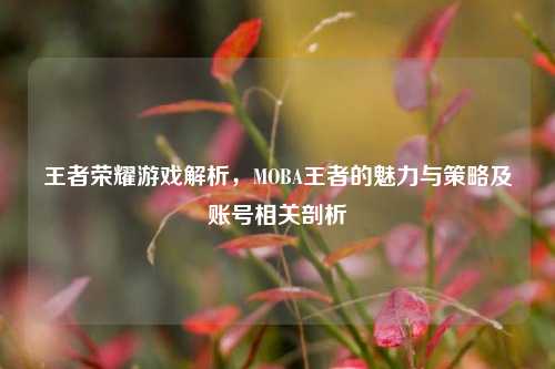 王者荣耀游戏解析,MOBA王者的魅力与策略及账号相关剖析