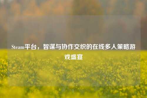 Steam平台,智谋与协作交织的在线多人策略游戏盛宴