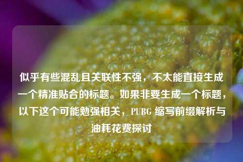 似乎有些混乱且关联性不强,不太能直接生成一个精准贴合的标题。如果非要生成一个标题,以下这个可能勉强相关,PUBG 缩写前缀解析与油耗花费探讨