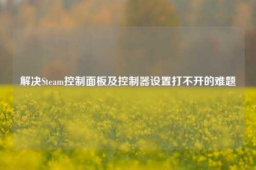 解决Steam控制面板及控制器设置打不开的难题