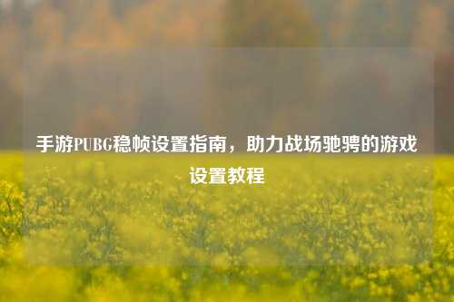 手游PUBG稳帧设置指南,助力战场驰骋的游戏设置教程