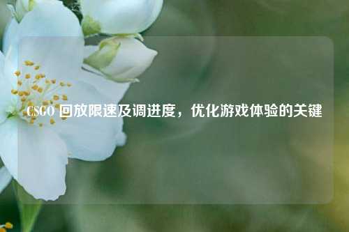 CSGO 回放限速及调进度，优化游戏体验的关键