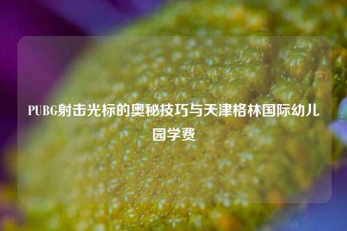 PUBG射击光标的奥秘技巧与天津格林国际幼儿园学费