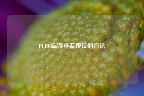 PUBG端游查看段位的方法