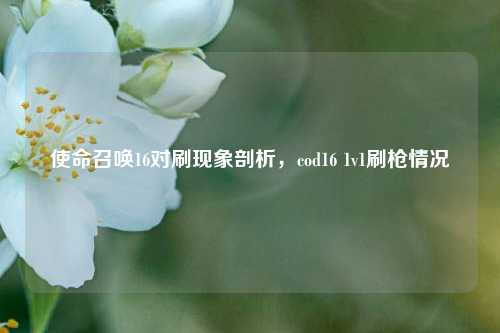 使命召唤16对刷现象剖析,cod16 1v1刷枪情况