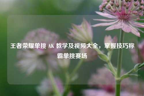 王者荣耀单挑 AK 教学及视频大全，掌握技巧称霸单挑赛场
