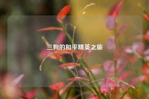 三狗的和平精英之旅