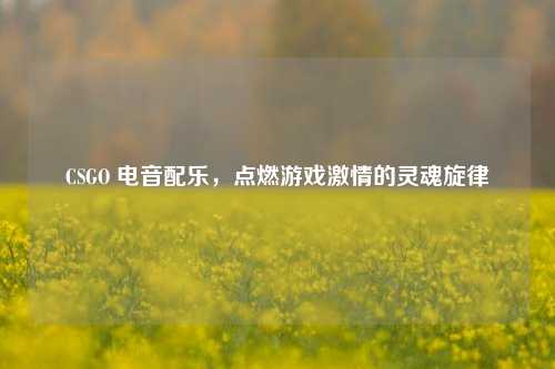 CSGO 电音配乐,点燃游戏激情的灵魂旋律