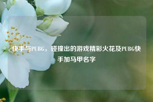 快手与PUBG,碰撞出的游戏精彩火花及PUBG快手加马甲名字