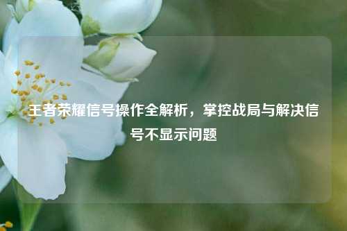 王者荣耀信号操作全解析,掌控战局与解决信号不显示问题