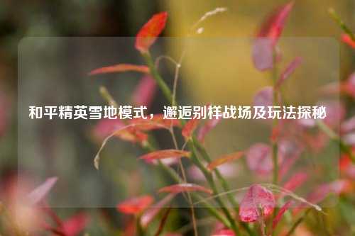 和平精英雪地模式,邂逅别样战场及玩法探秘