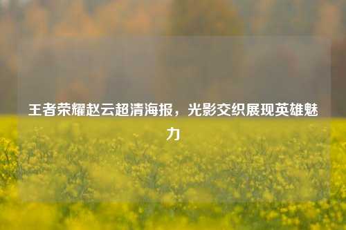 王者荣耀赵云超清海报,光影交织展现英雄魅力