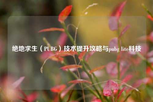 绝地求生(PUBG)技术提升攻略与pubg lite科技