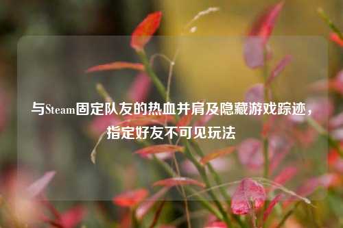 与Steam固定队友的热血并肩及隐藏游戏踪迹,指定好友不可见玩法