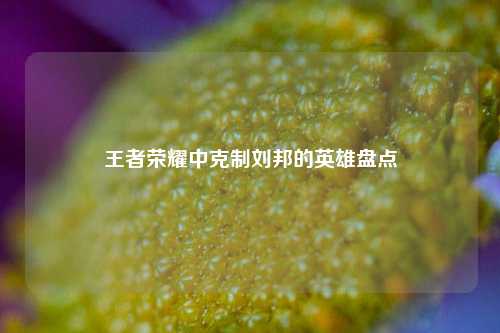 王者荣耀中克制刘邦的英雄盘点