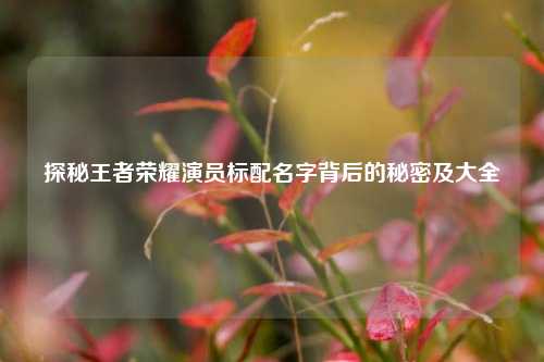 探秘王者荣耀演员标配名字背后的秘密及大全