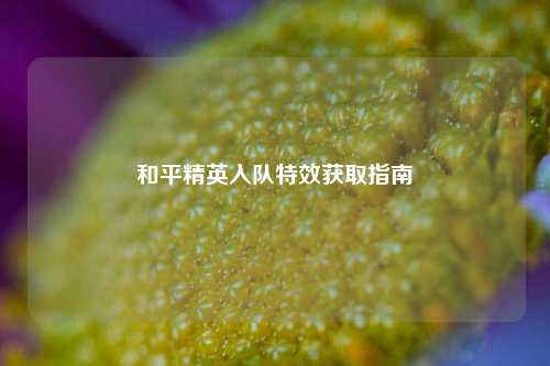 和平精英入队特效获取指南