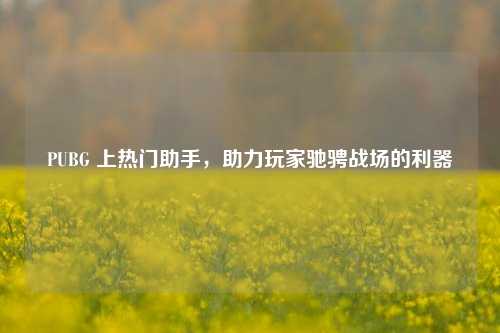 PUBG 上热门助手，助力玩家驰骋战场的利器