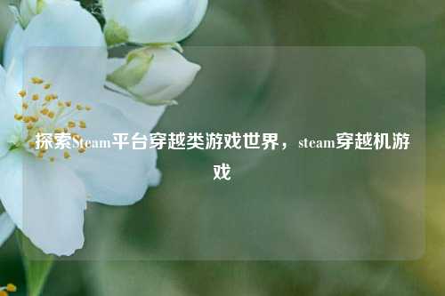 探索Steam平台穿越类游戏世界，steam穿越机游戏
