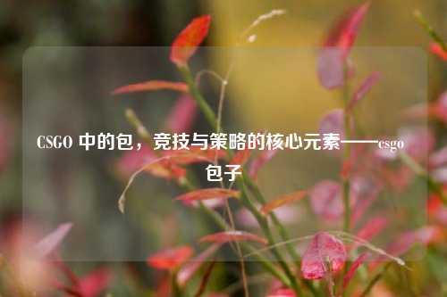 CSGO 中的包，竞技与策略的核心元素——csgo 包子