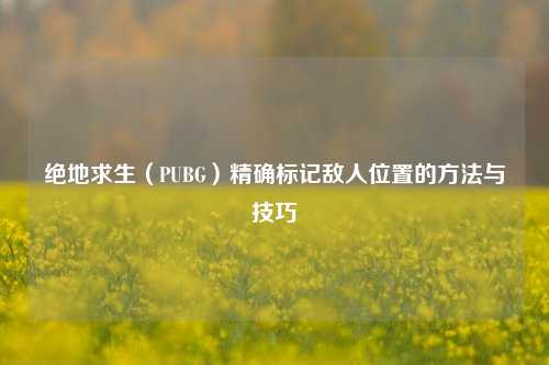绝地求生（PUBG）精确标记敌人位置的方法与技巧