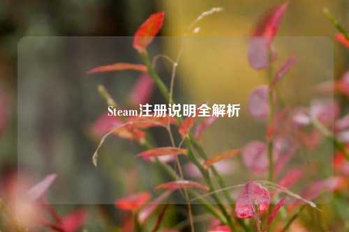 Steam注册说明全解析