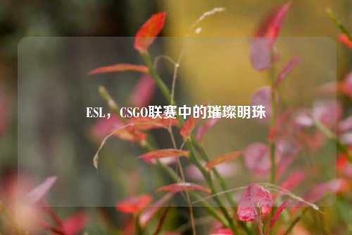 ESL,CSGO联赛中的璀璨明珠